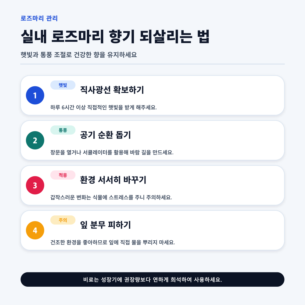 실내 로즈마리 향기 되살리는 법