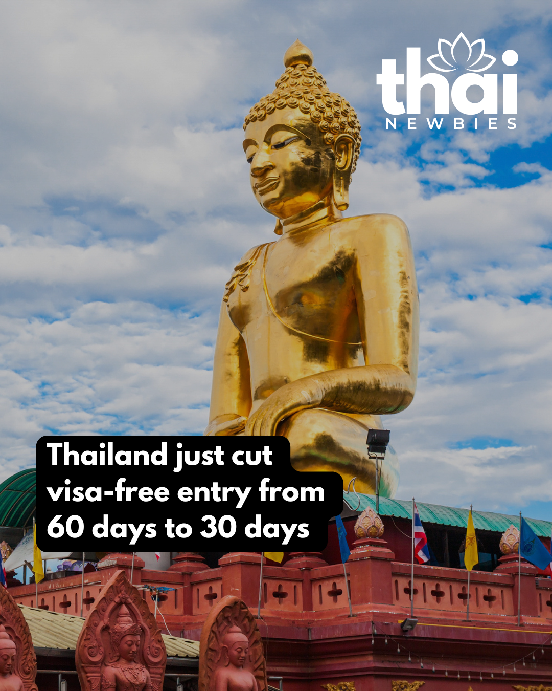 Thai Newbies Blog