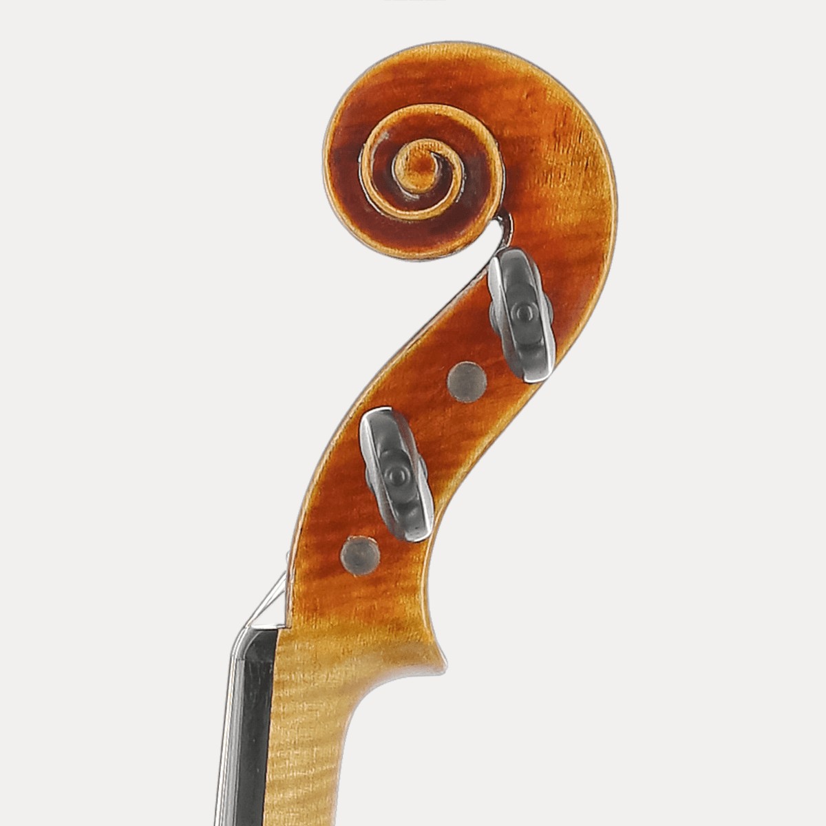 Violín (Ejemplo) Qarbonia