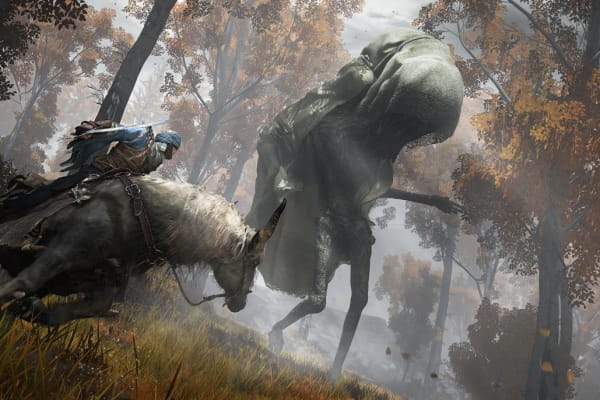 Imágen del juego - Elden Ring