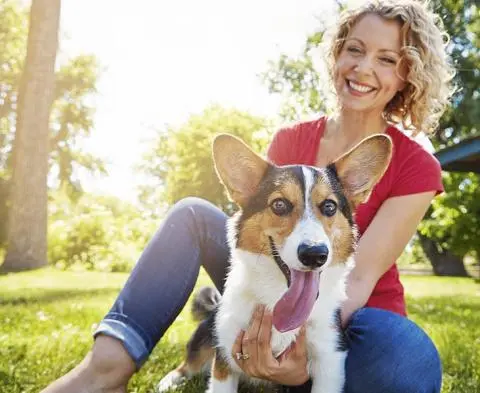10 Best Medicine for Ear Mites in Dogs for 2024