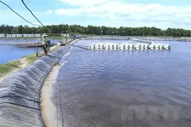 Mô hình nuôi trồng thủy sản