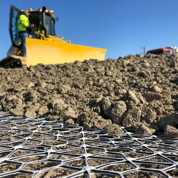 Lưới địa kỹ thuật 1 trục