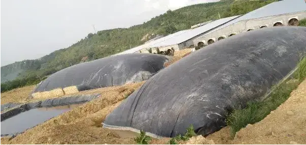 Hầm Biogas - Giải Pháp Xanh cho Tương Lai Nông Nghiệp Việt Nam