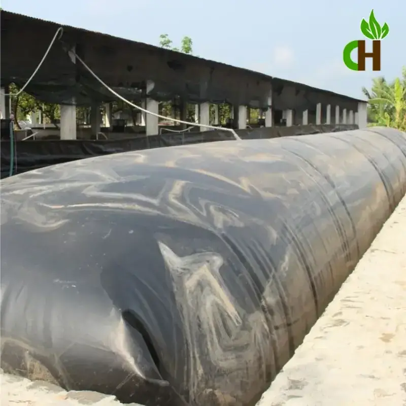 Hầm Biogas - Giải Pháp Xanh cho Tương Lai Nông Nghiệp Việt Nam