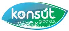 konsut