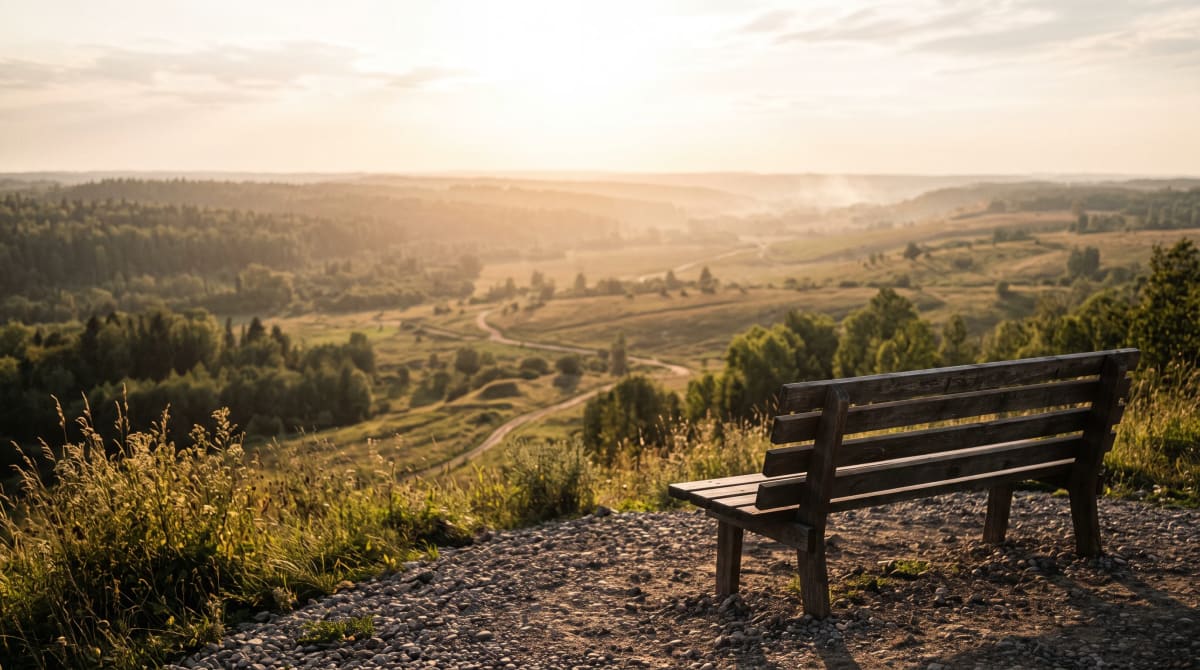 Empty wooden bench facing a wide valley in late daylight
