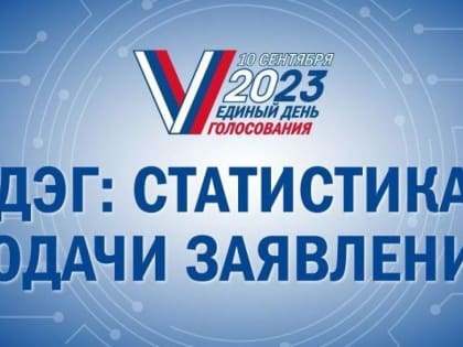 Алтайский край стал лидером среди регионов России по дистанционной явке