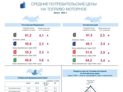О потребительских ценах на бензин и дизельное топливо в Алтайском крае в августе 2023 года