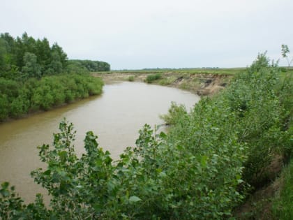 До +30°С: погода в Алтайском крае и Рубцовске 25 июля