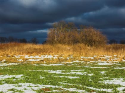 Мокрый снег с дождем и порывистый ветер сохранятся в Алтайском крае 25 октября