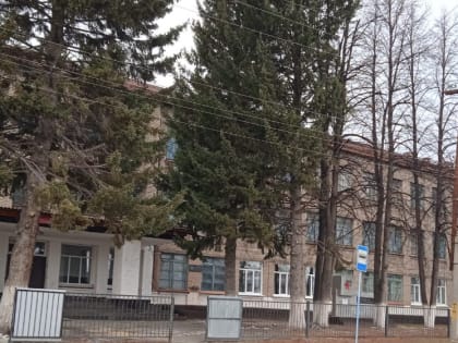 У родителей забот прибавилось