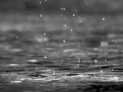 Кратковременные дожди и грозы. О погоде в Алтайском крае 2 августа