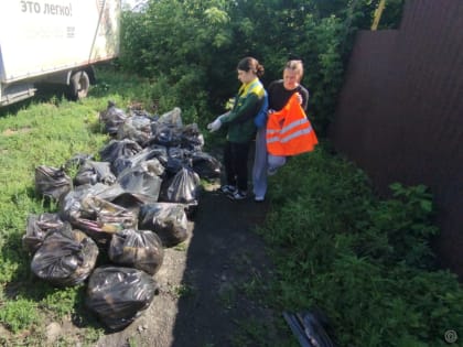 К благоустройству Центрального района присоединился экологический отряд