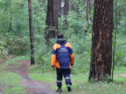 Жительница алтайского села пошла собирать ягоды и заблудилась