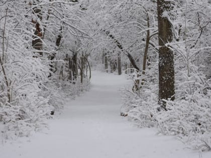 Женщина по пути на работу насмерть замерзла в 50-градусный мороз