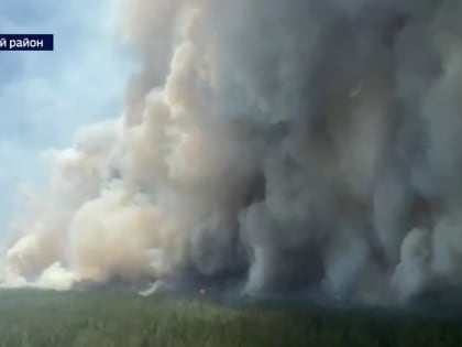 Третий день подряд бушует масштабный пожар в Егорьевском районе