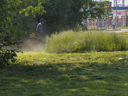 На территории Ленинского района активно продолжаются работы по покосу травы