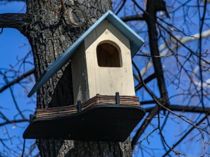 Холодная и ветреная погода нагрянула 8 апреля в Алтайский край