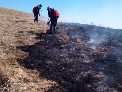 В Алтайском крае из-за небрежности жителей загорелось 10 гектаров пасеки