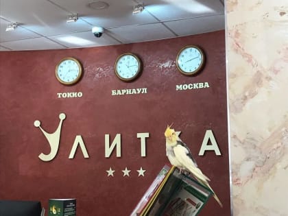 Студенты ИНГЕО посетили гостиницы «Улитка» и «Барнаул»