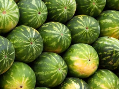 Ученые назвали продукты, которые способны отсрочить старость