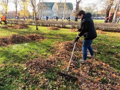 С барнаульских улиц вывезли почти 200 машин с мусором