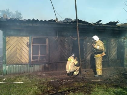 В Алтайском крае завели уголовное дело после гибели двух детей в селе Вавилон