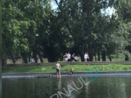 В парке «Изумрудный» города Барнаула  в пруду чуть не утонул ребёнок