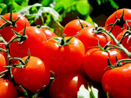 Россиянам посоветовали пить томатный сок каждый день