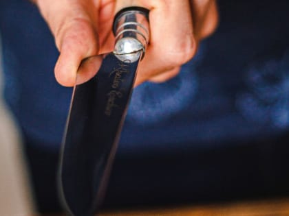 Тройное убийство: в московской квартире нашли мертвой всю семью