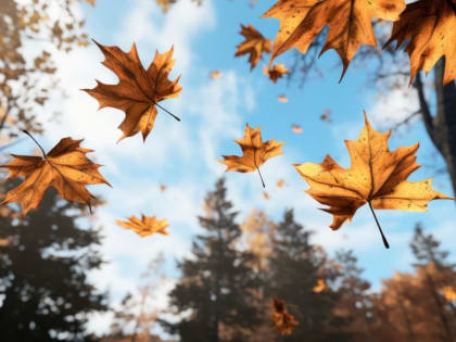 В Алтайском крае 19 октября погода порадует аномальным теплом под +20 градусов