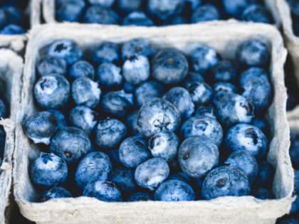 Диетолог раскрыла неожиданную пользу черники