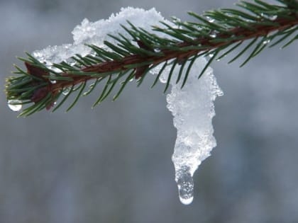 Зачем бить мужей во Власьев день. Народные приметы 24 февраля