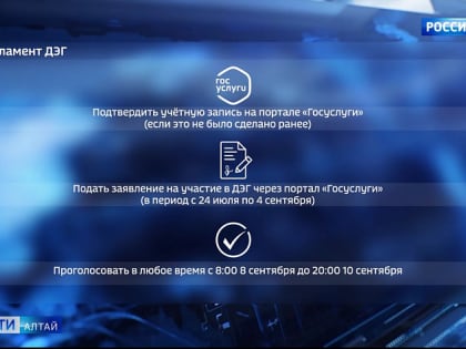 В этом году впервые за губернатора можно будет проголосовать, не выходя из дома