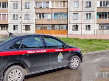 В Барнауле закрыли дело об убийстве двоих детей, мать которых покончила с собой