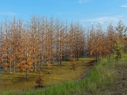 Сформированы предварительные планы дистанционных наблюдений в рамках ГЛПМ на 2024 год