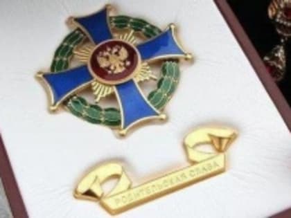 Две бийские многодетные семьи отмечены на федеральном уровне!