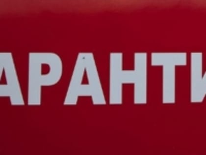 Об установлении ограничительных мероприятий  в селе  Красный Яр в связи с  заболеваемостью   бешенством.