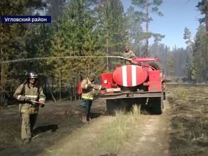 В Угловском районе продолжается локализация крупного лесного пожара