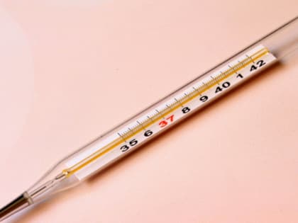 Новый прогноз заболеваемости ОРВИ на зимние праздники