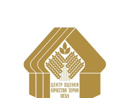 На Алтае завершается сбор гороха и ржи