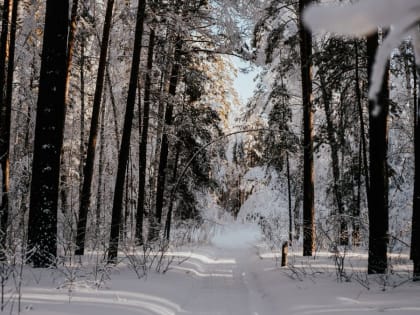 На Алтае предложили создать группу общественных инспекторов по охране природы