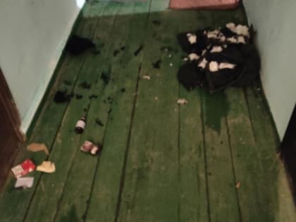 Житель города Барнаула предстанет перед судом по обвинению в убийстве женщины с особой жестокостью