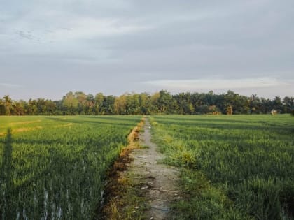 До +25: о погоде в Алтайском крае 10 июня