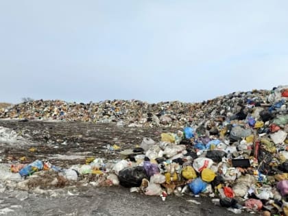 Мусоровозы из Алейска перестали направлять на полигон отходов в Усть-Калманке