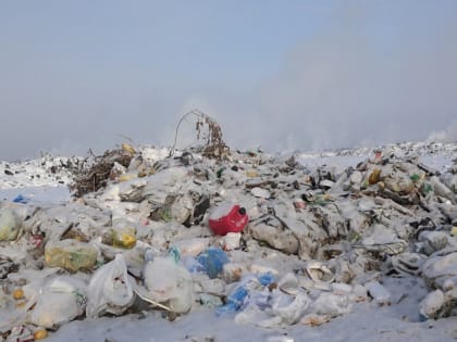 В Смоленском районе решили провести народное голосование по полигону ТКО