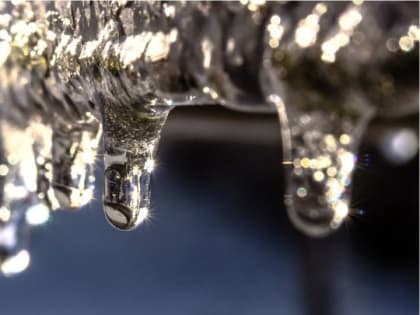 До +14 градусов потеплеет 11 марта в Алтайском крае