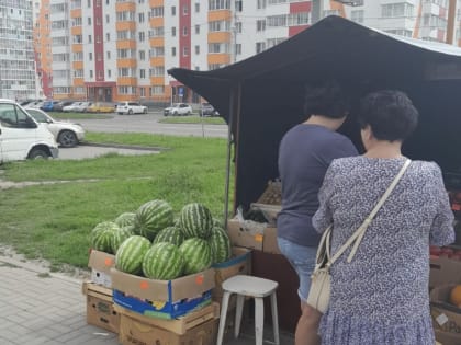 Очередной рейд по пресечению торговли в неустановленных местах проведен на территории Индустриального района