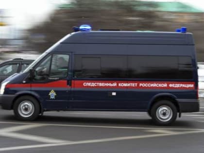 Женщину и двоих детей, пропавших в Алтайском крае, нашли убитыми